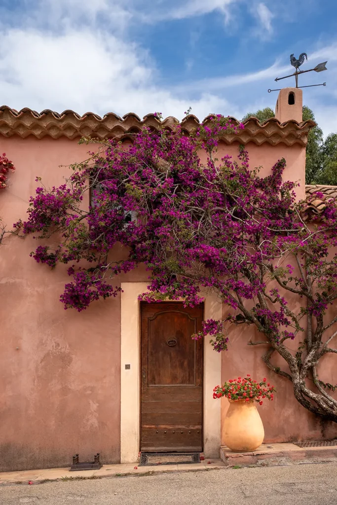 Que faire à Porquerolles ? Guide de voyage entre culture et nature 8