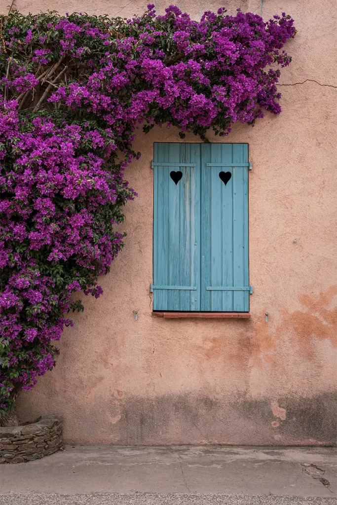 Que faire à Porquerolles ? Guide de voyage entre culture et nature 8