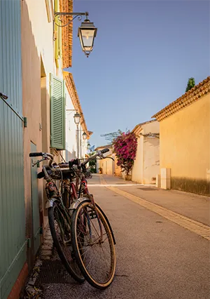 Que faire à Porquerolles ? Guide de voyage entre culture et nature 16