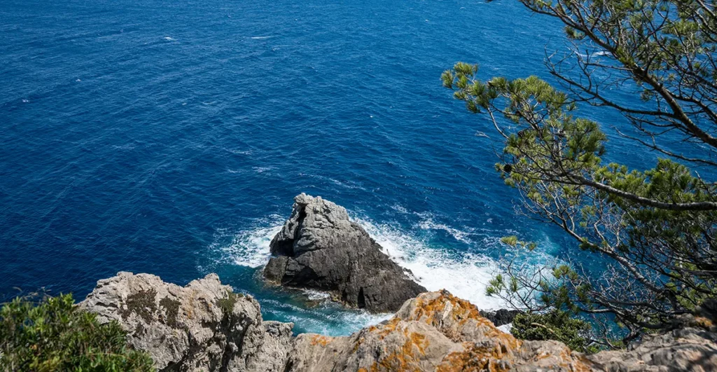 Que faire à Porquerolles ? Guide de voyage entre culture et nature 31