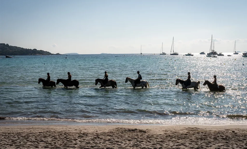 Que faire en Corse du Sud ? 5 visites incontournables entre Bonifacio et Porto-Vecchio 18