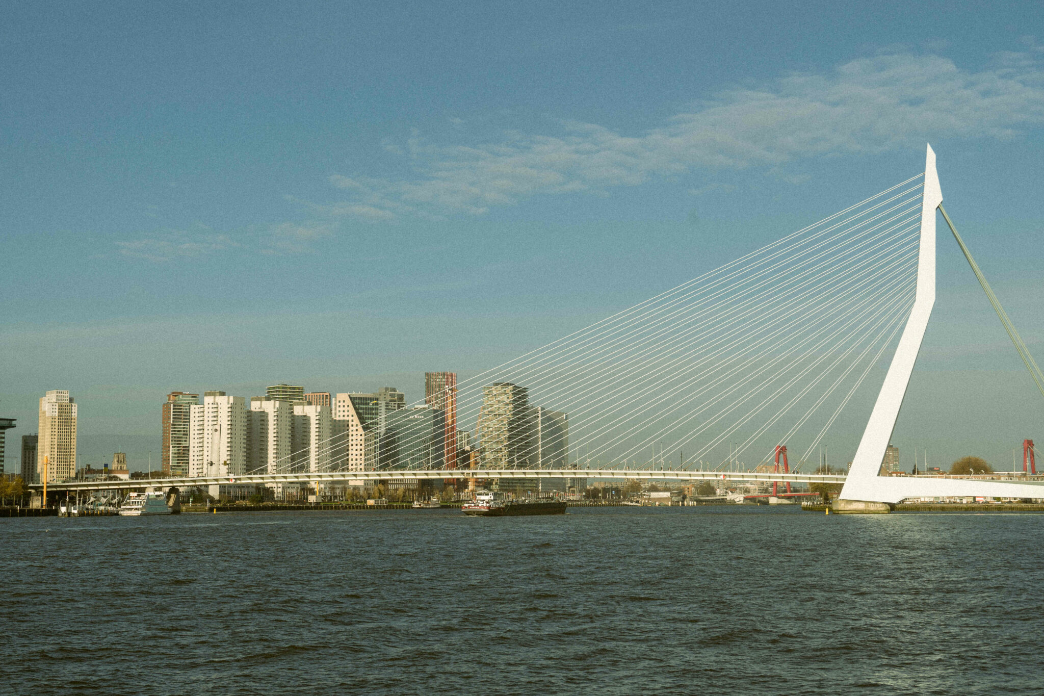 Escapade à Rotterdam : visites incontournables et bonnes adresses 19