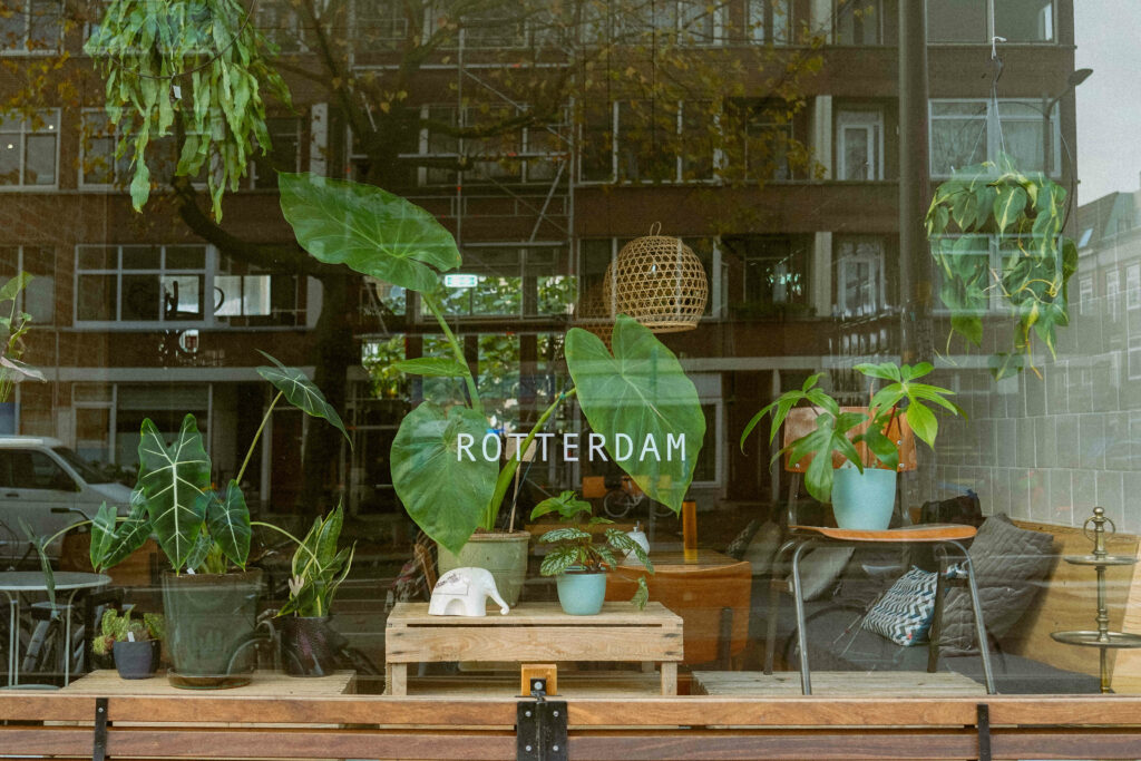 Escapade à Rotterdam : visites incontournables et bonnes adresses 30