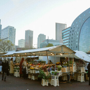 Escapade à Rotterdam : visites incontournables et bonnes adresses 1