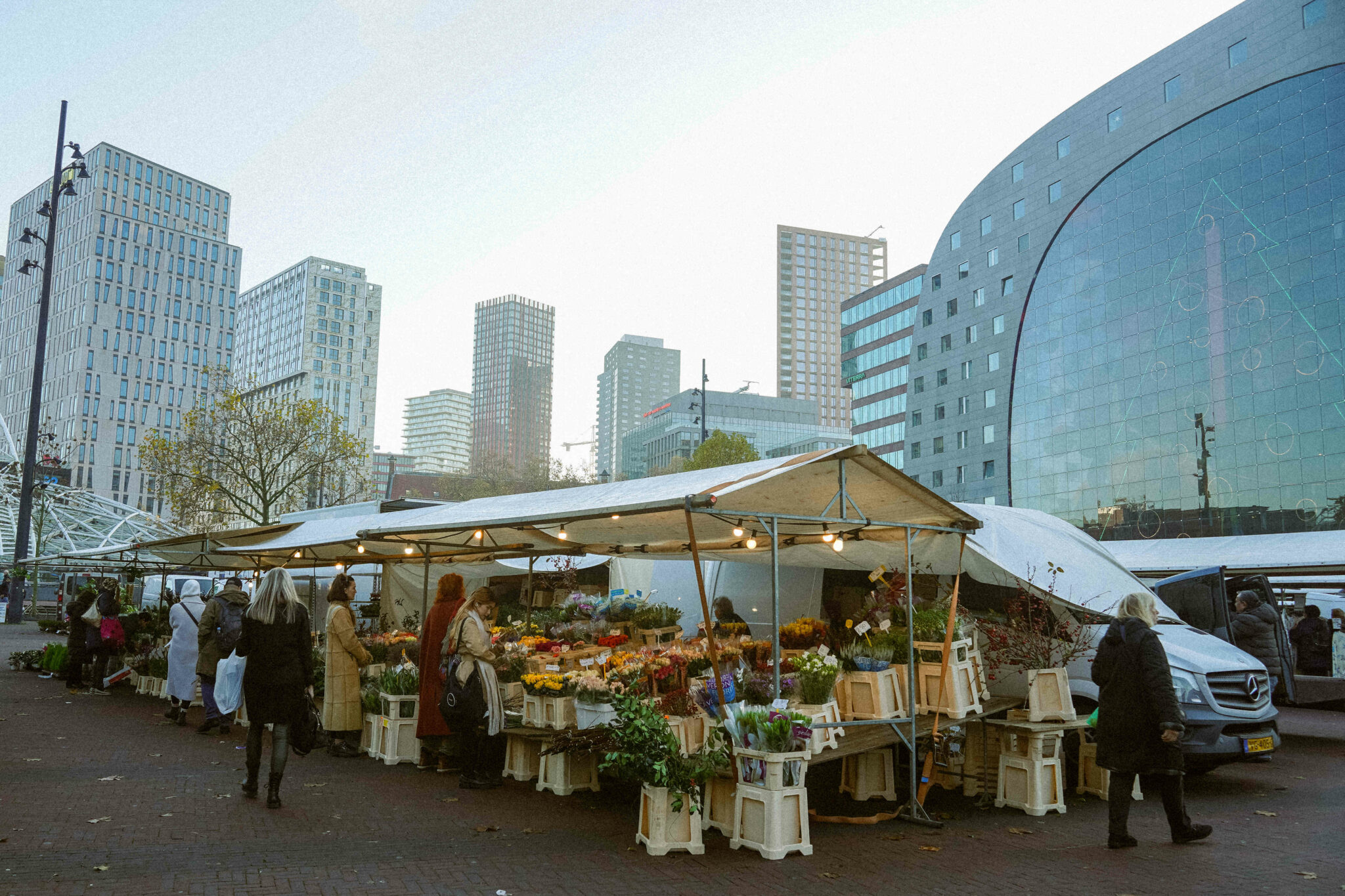 Escapade à Rotterdam : visites incontournables et bonnes adresses 2