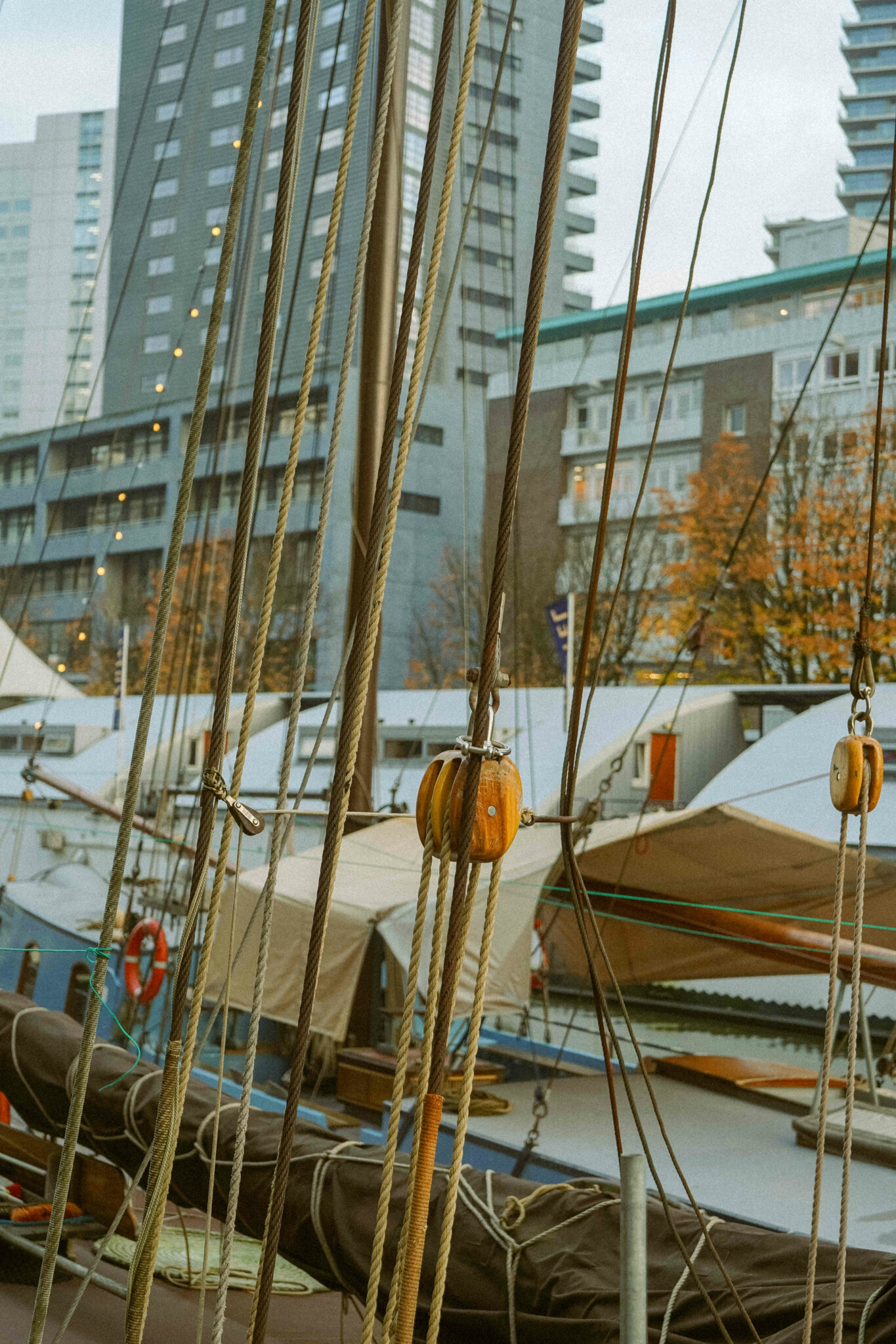 Escapade à Rotterdam : visites incontournables et bonnes adresses 20