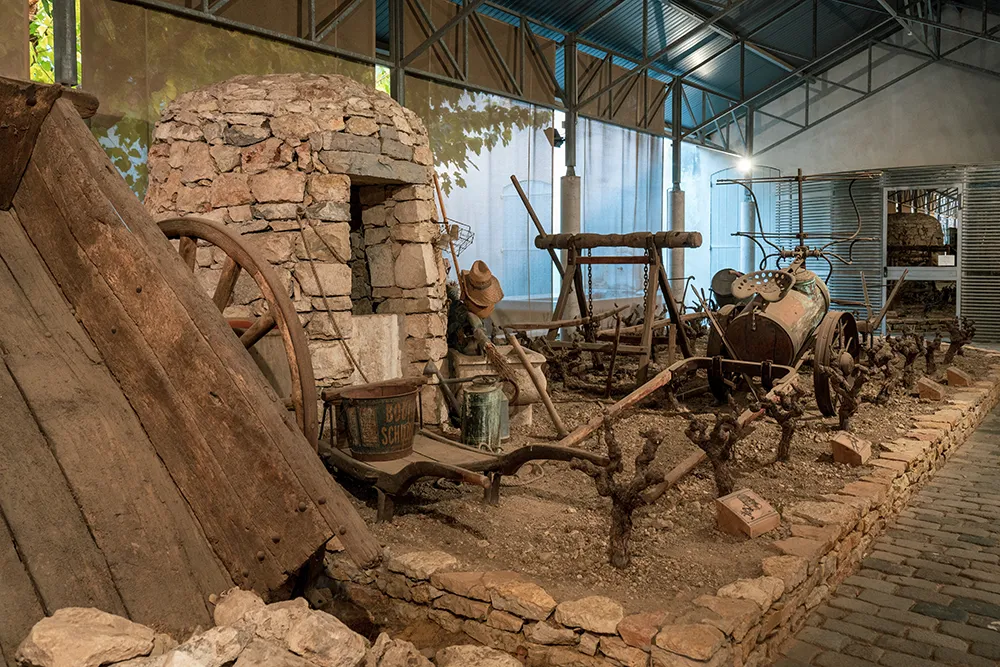 Que faire à Draguignan ? Les visites incontournables 21