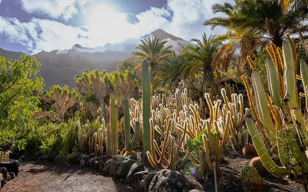 Cactualdea Park à Gran Canaria, îles Canaries