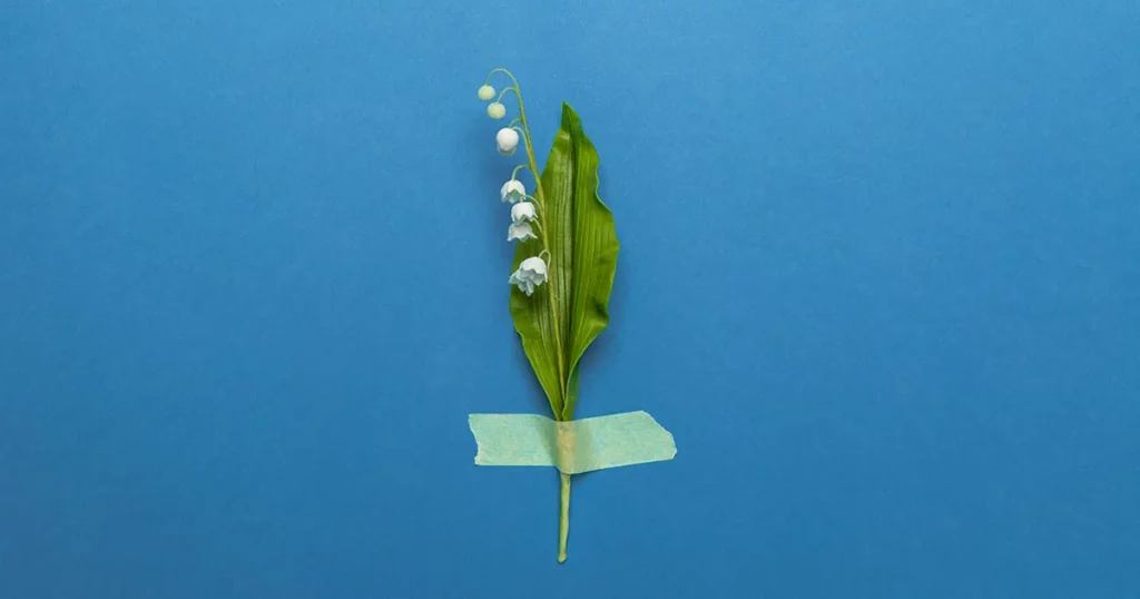 Pourquoi offre-t-on du muguet le 1er mai ?