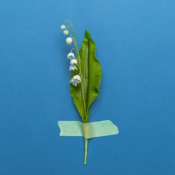 Pourquoi offre-t-on du muguet le 1er mai ?