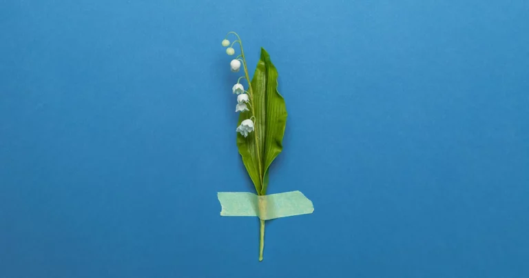 Pourquoi offre-t-on du muguet le 1er mai ?
