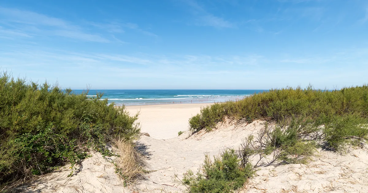 10 raisons de choisir les Landes pour vos prochaines vacances 2