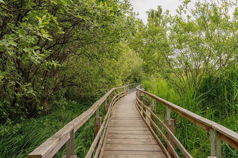 Parc d'Isle de Saint-Quentin