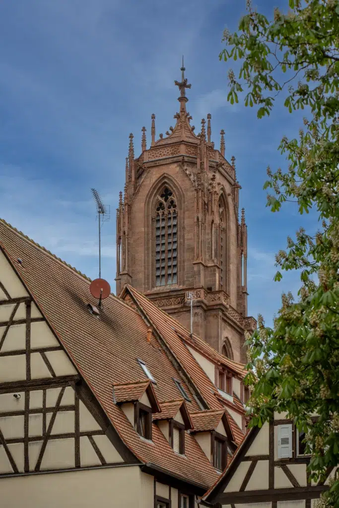 Que faire à Sélestat ? Une escapade au coeur du trésor caché de l'Alsace 4 What to do in Selestat