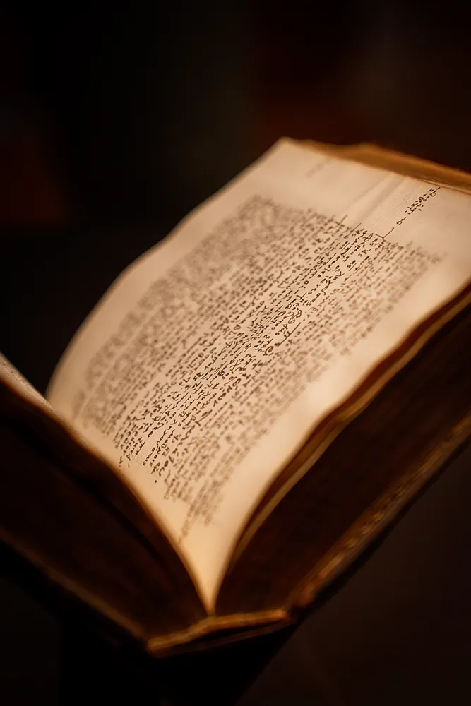 Que faire à Sélestat ? Une escapade au coeur du trésor caché de l'Alsace 13 Old books