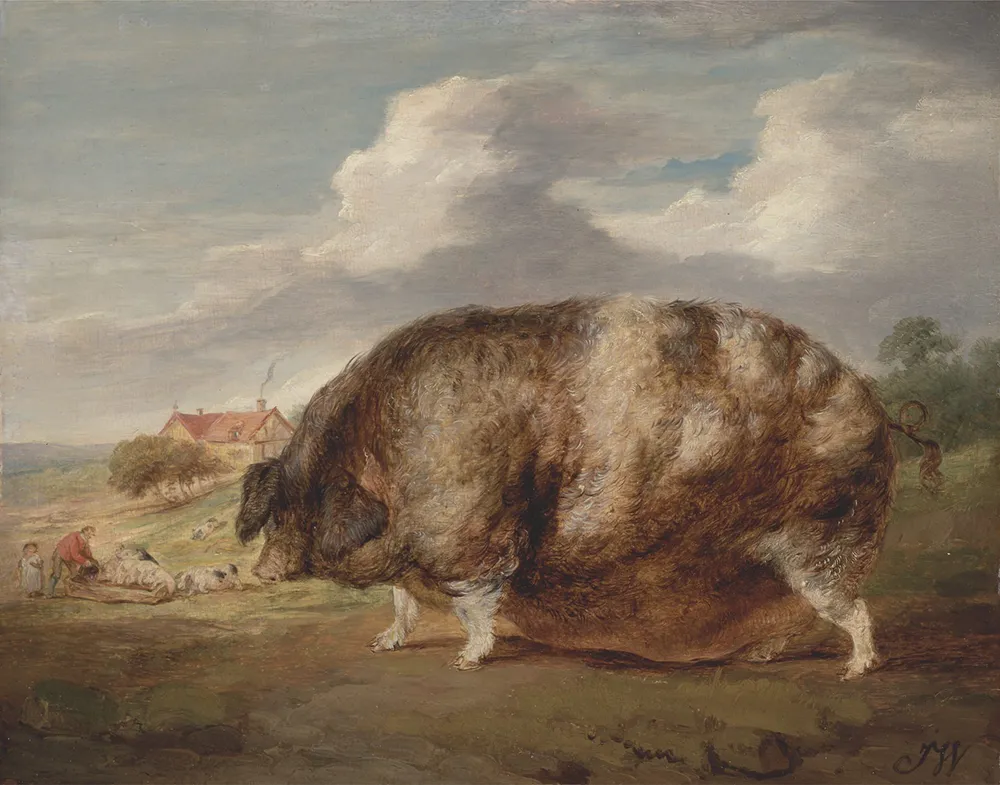 Des vaches carrées : cette étonnante mode artistique dans l’Angleterre du 19e siècle 6