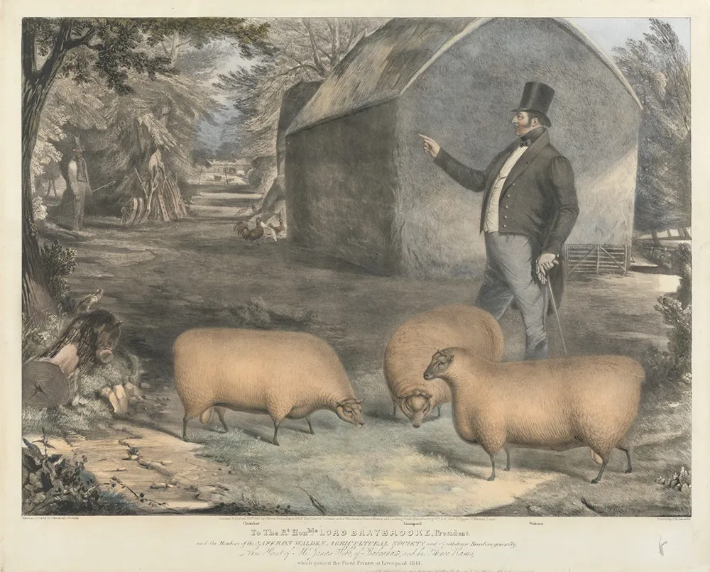 Des vaches carrées : cette étonnante mode artistique dans l’Angleterre du 19e siècle 7