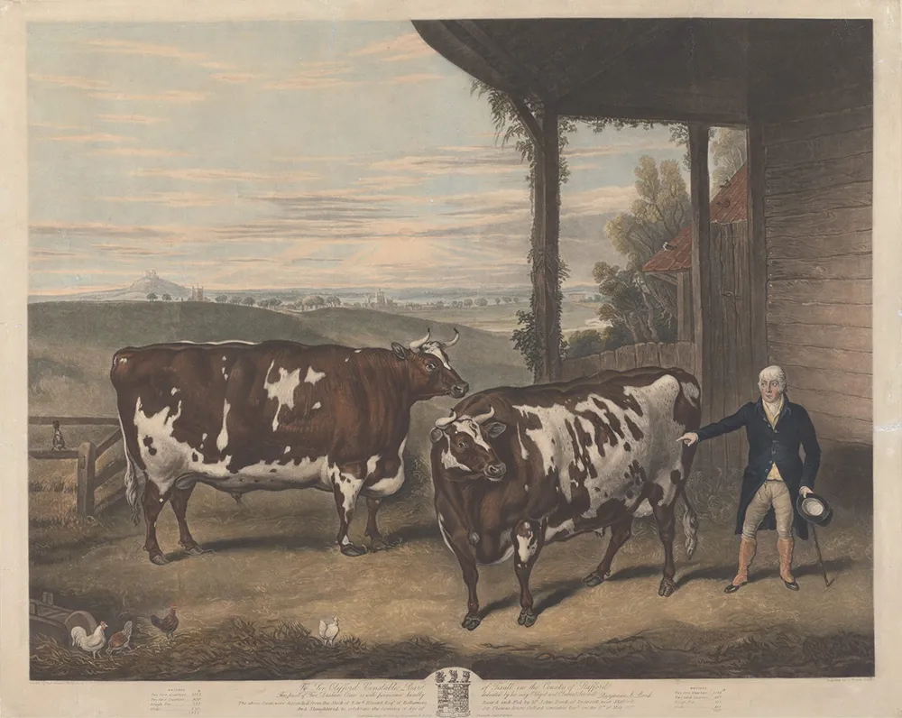 Des vaches carrées : cette étonnante mode artistique dans l’Angleterre du 19e siècle 9