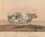 Des vaches carrées : cette étonnante mode artistique dans l’Angleterre du 19e siècle 5