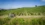 Un voyage gourmand en Auvergne-Rhône-Alpes 1