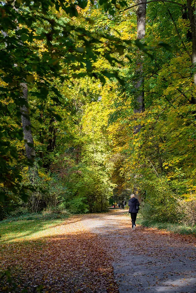 Visiter Munich : guide complet pour un séjour inoubliable en Bavière 24 Visiter Munich : guide complet pour un séjour inoubliable en Bavière 19