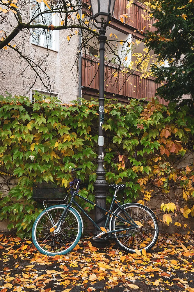 Visiter Munich : guide complet pour un séjour inoubliable en Bavière 39 Visiter Munich : guide complet pour un séjour inoubliable en Bavière 34