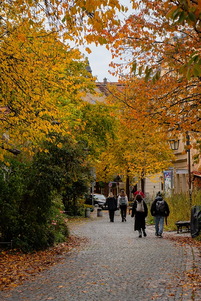 Visiter Munich : guide complet pour un séjour inoubliable en Bavière 40 Visiter Munich : guide complet pour un séjour inoubliable en Bavière 35