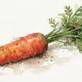 « Mange des carottes, ça rend aimable » : d’où vient cette expression ? 7