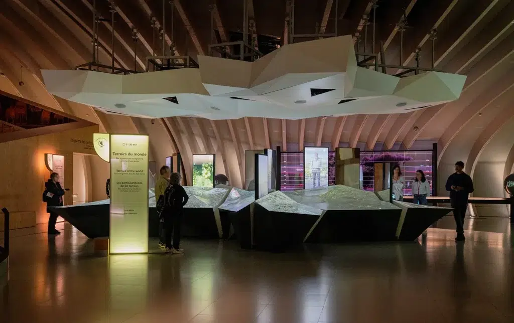 La Cité du Vin à Bordeaux : une visite à faire sans modération ! 5 Que voir à la cité du vin ?