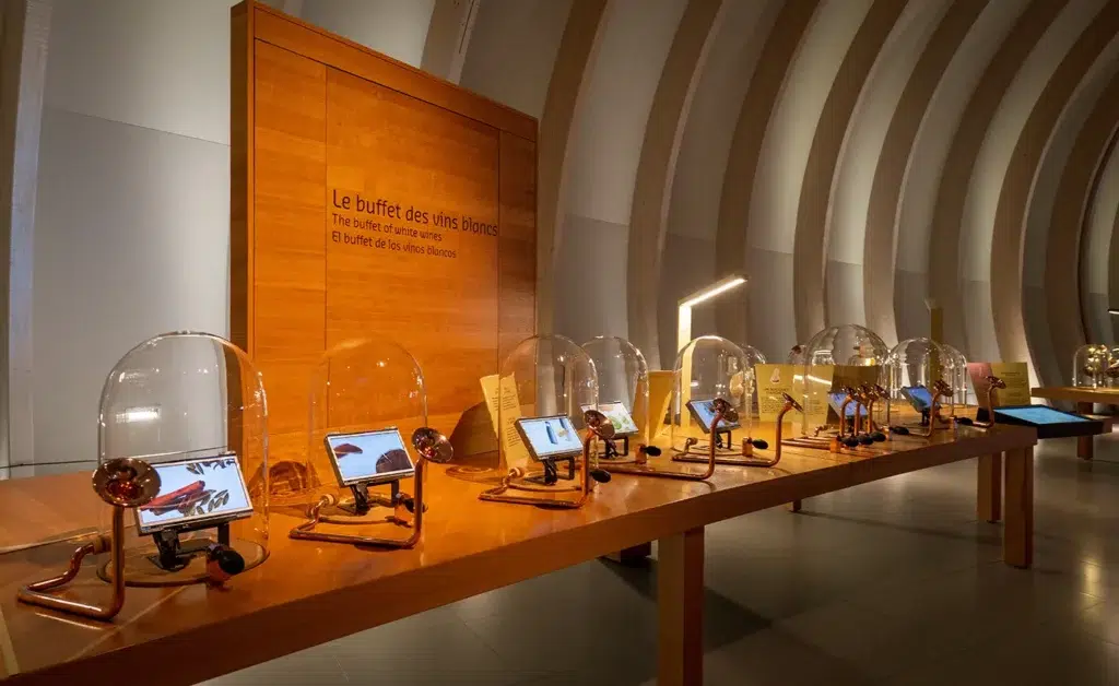 La Cité du Vin à Bordeaux : une visite à faire sans modération ! 6 La Cité du Vin à Bordeaux : une visite à faire sans modération ! 3