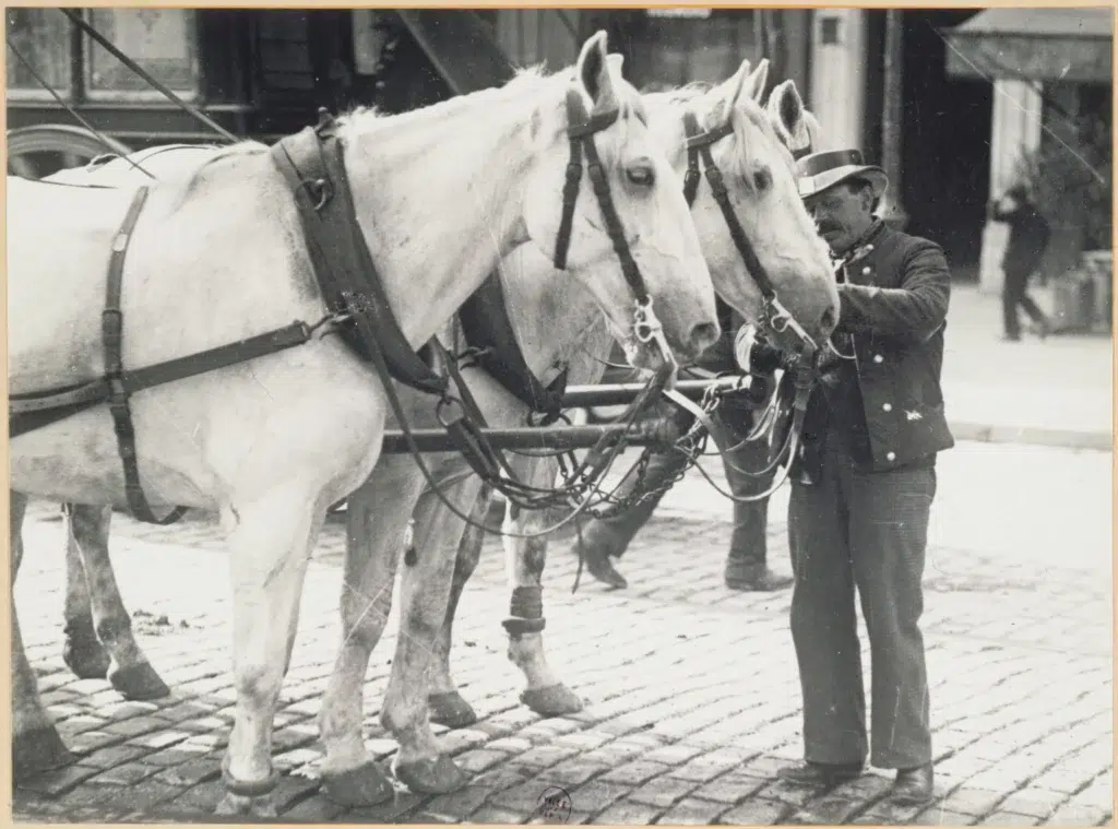 Les métiers oubliés de Paris 4