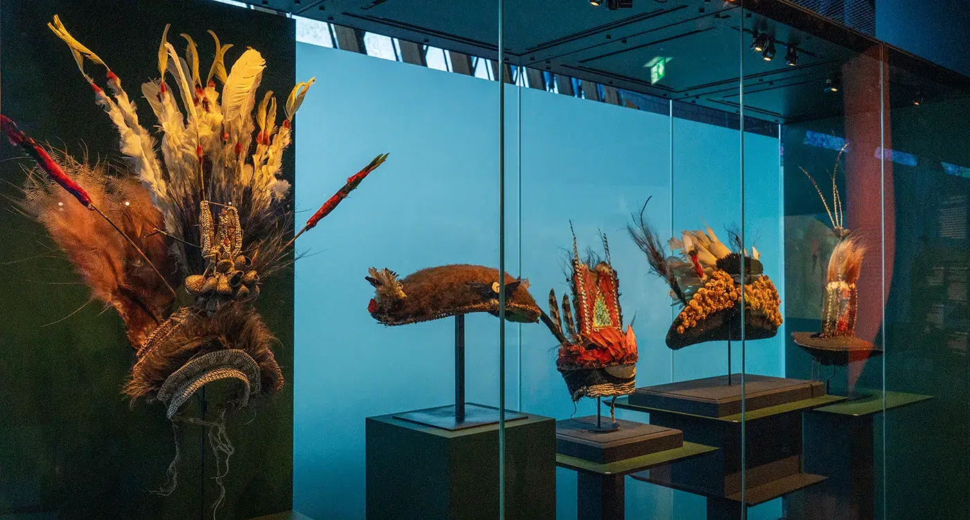 Exposition "Plumes du paradis" : l'étonnant voyage d'un oiseau extraordinaire au musée du quai Branly - Jacques Chirac 3 Exposition "Plumes du paradis" : l'étonnant voyage d'un oiseau extraordinaire au musée du quai Branly - Jacques Chirac 3
