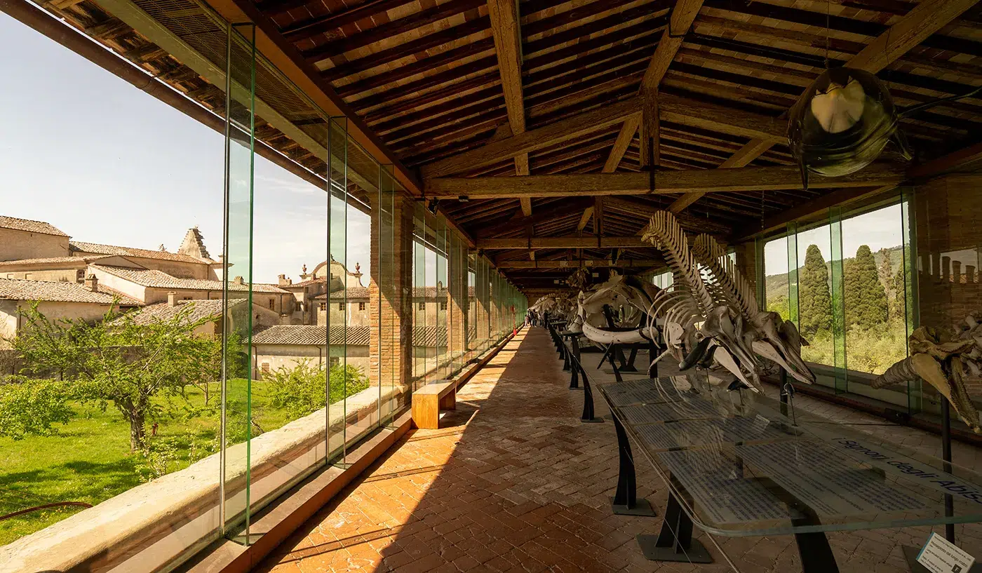 What to Do in Pisa and the Surrounding Area? Travel Guide 26