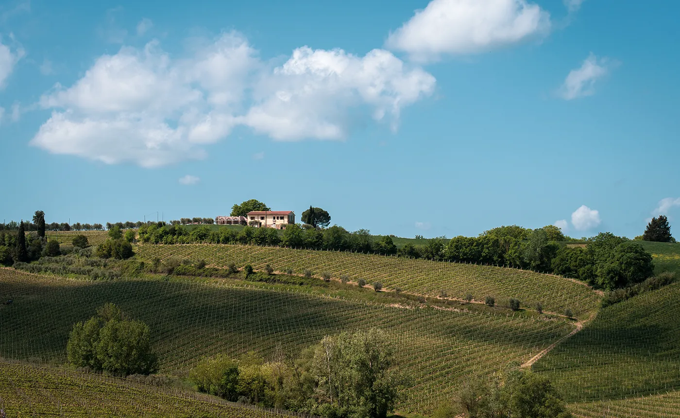 What to Do in Pisa and the Surrounding Area? Travel Guide 37