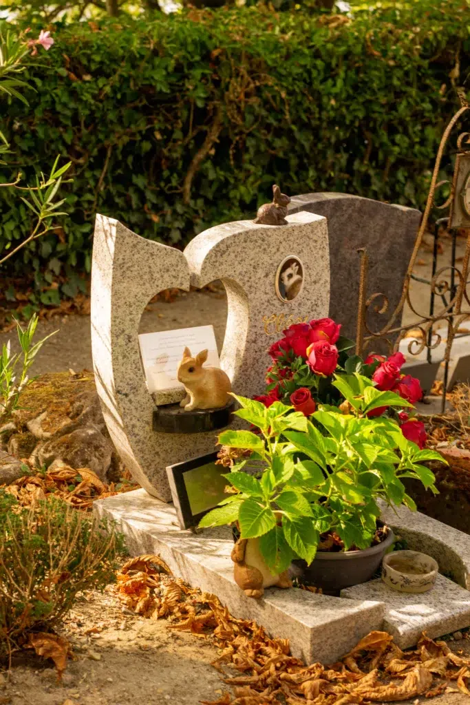 Visite du cimetière des chiens d’Asnières : le Père Lachaise des animaux  8