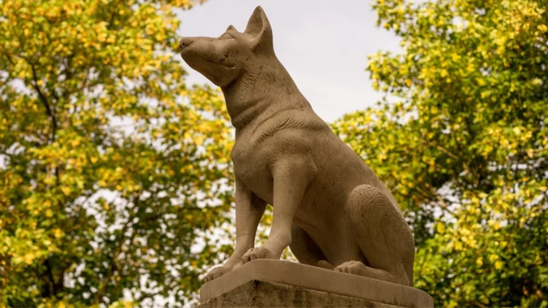 Cimetière-des-chiens