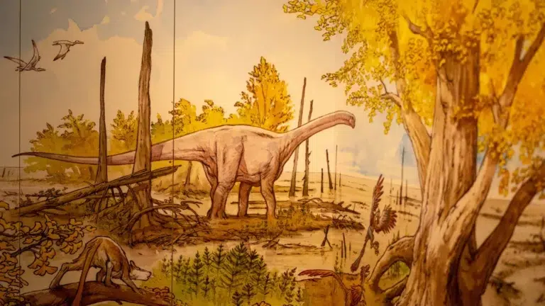 Sur-les-traces-des-dinosaures